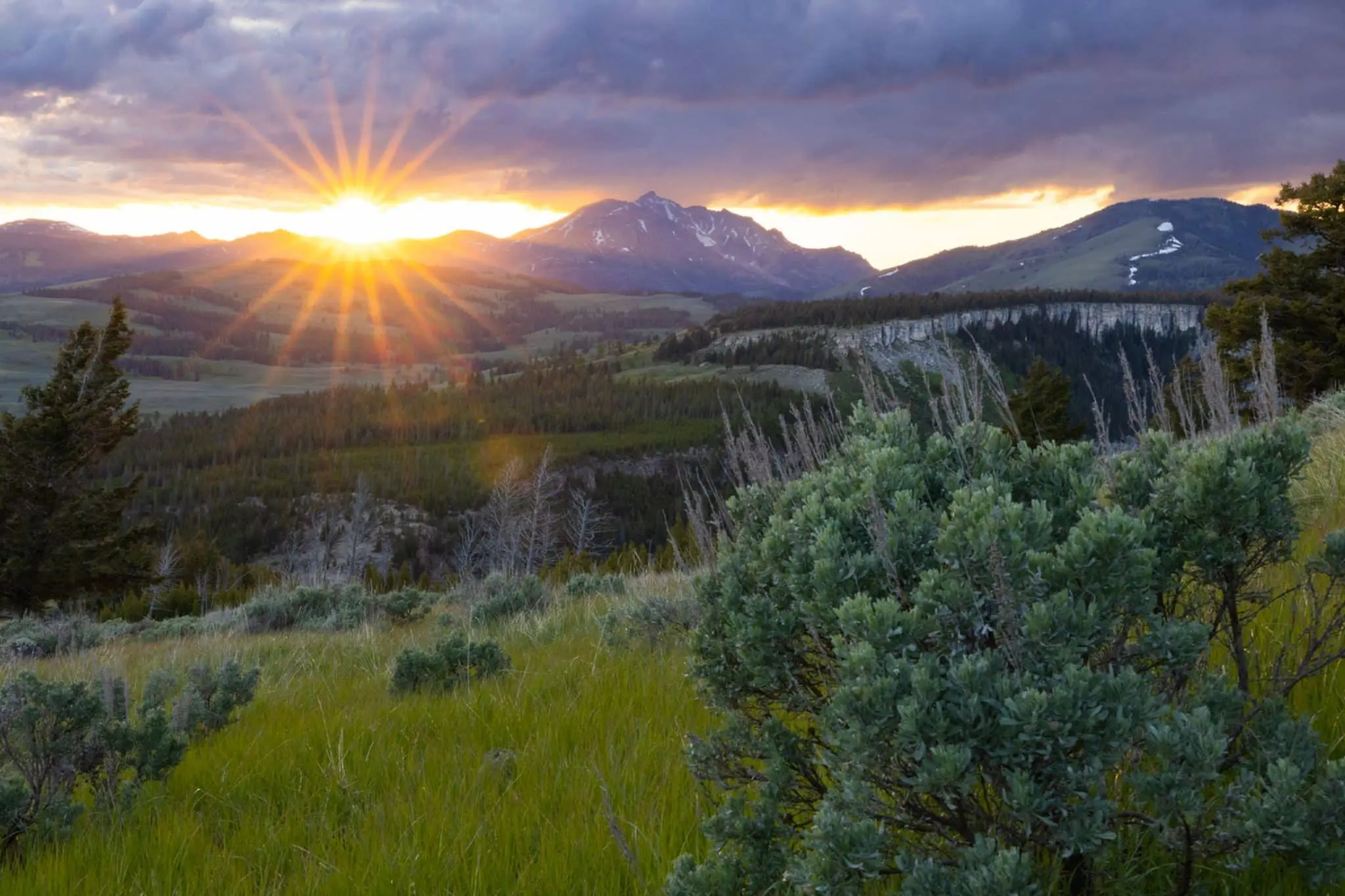 Yellowstone National Park Rules: What Not To Do