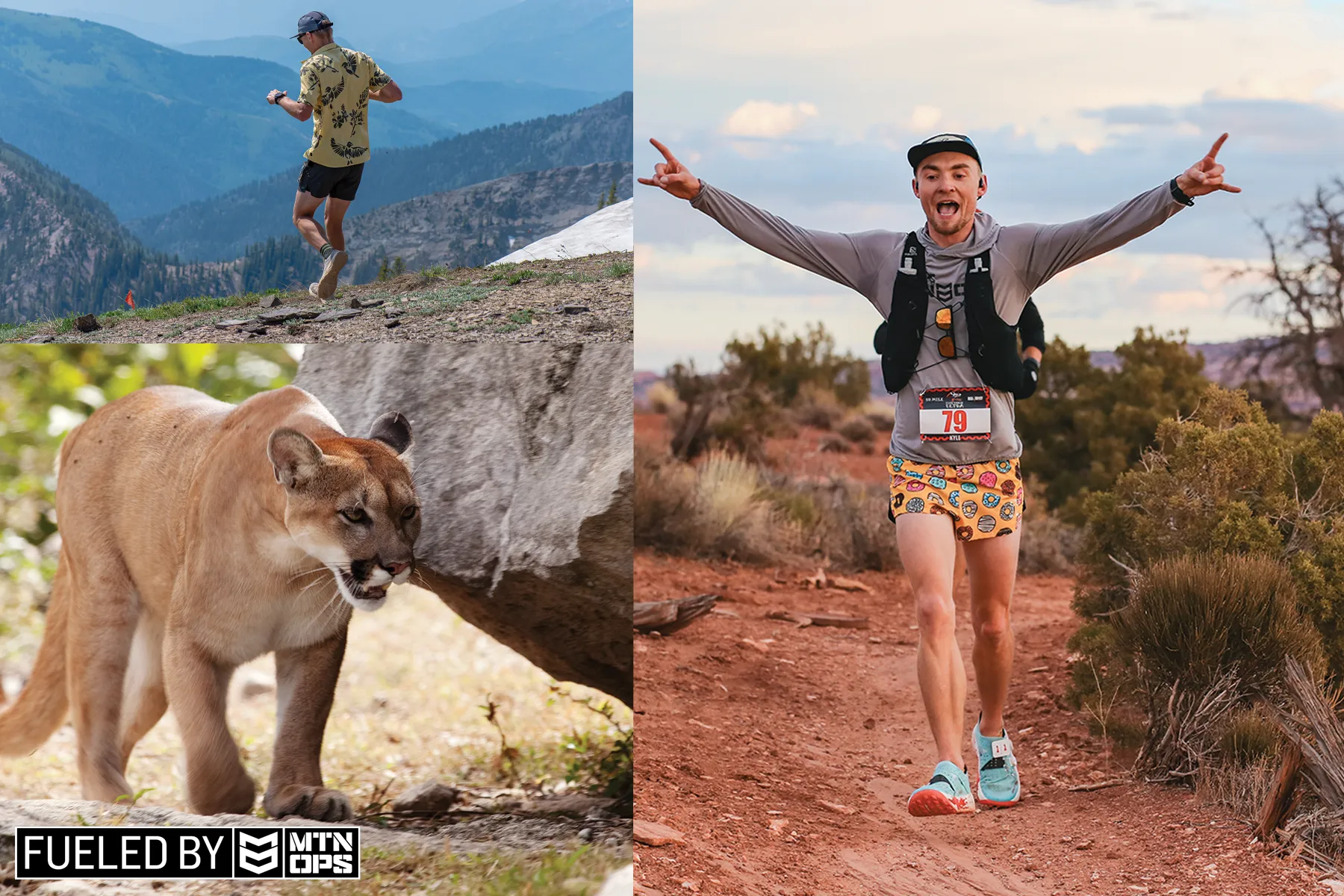 cougar kyle burgess