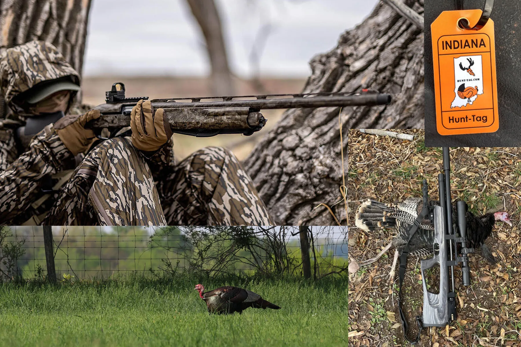 turkey shotguns