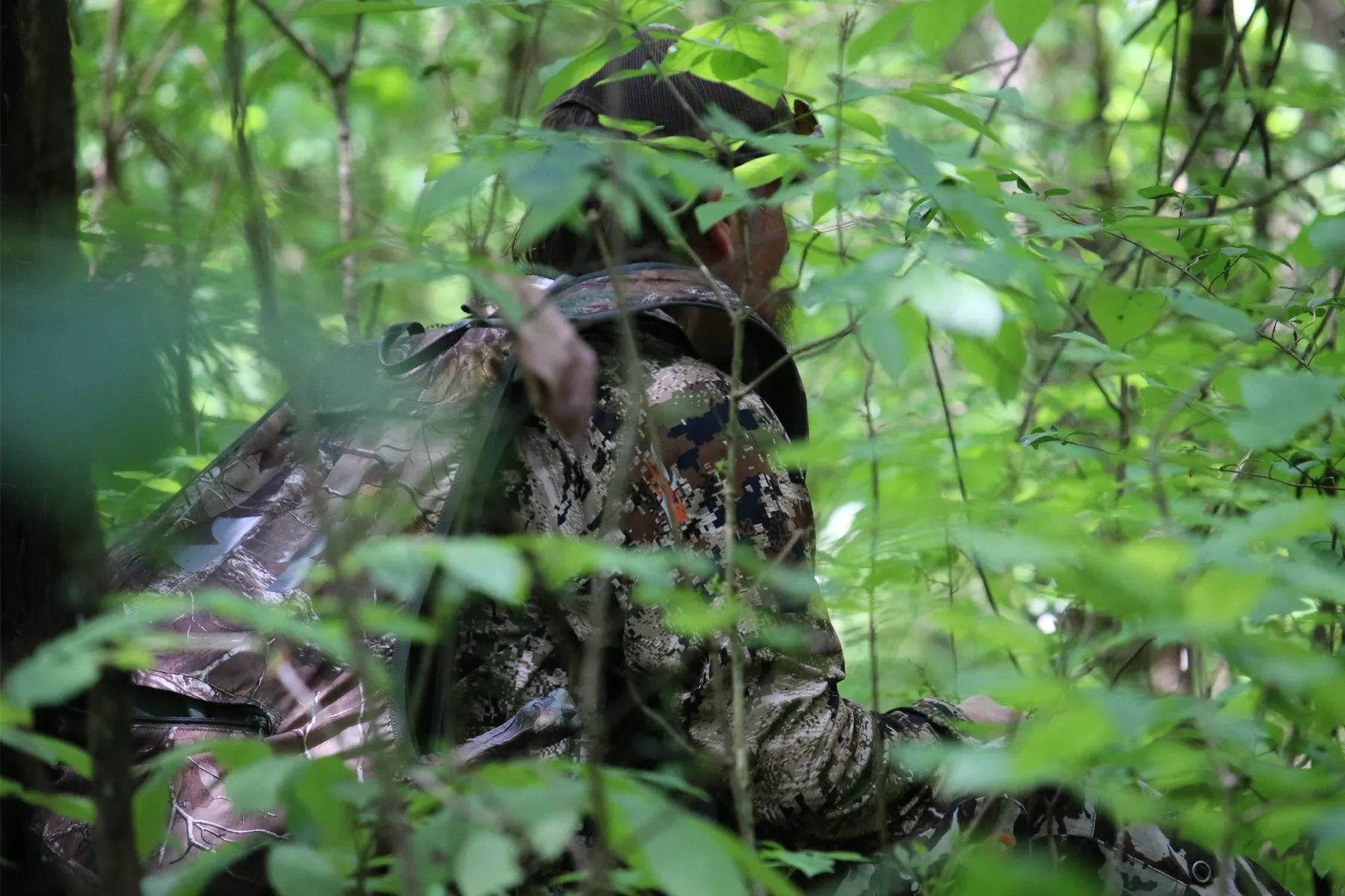 Spring turkey hunter in a mid-morning setup.