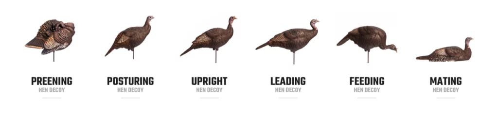 DSD Turkey Decoys