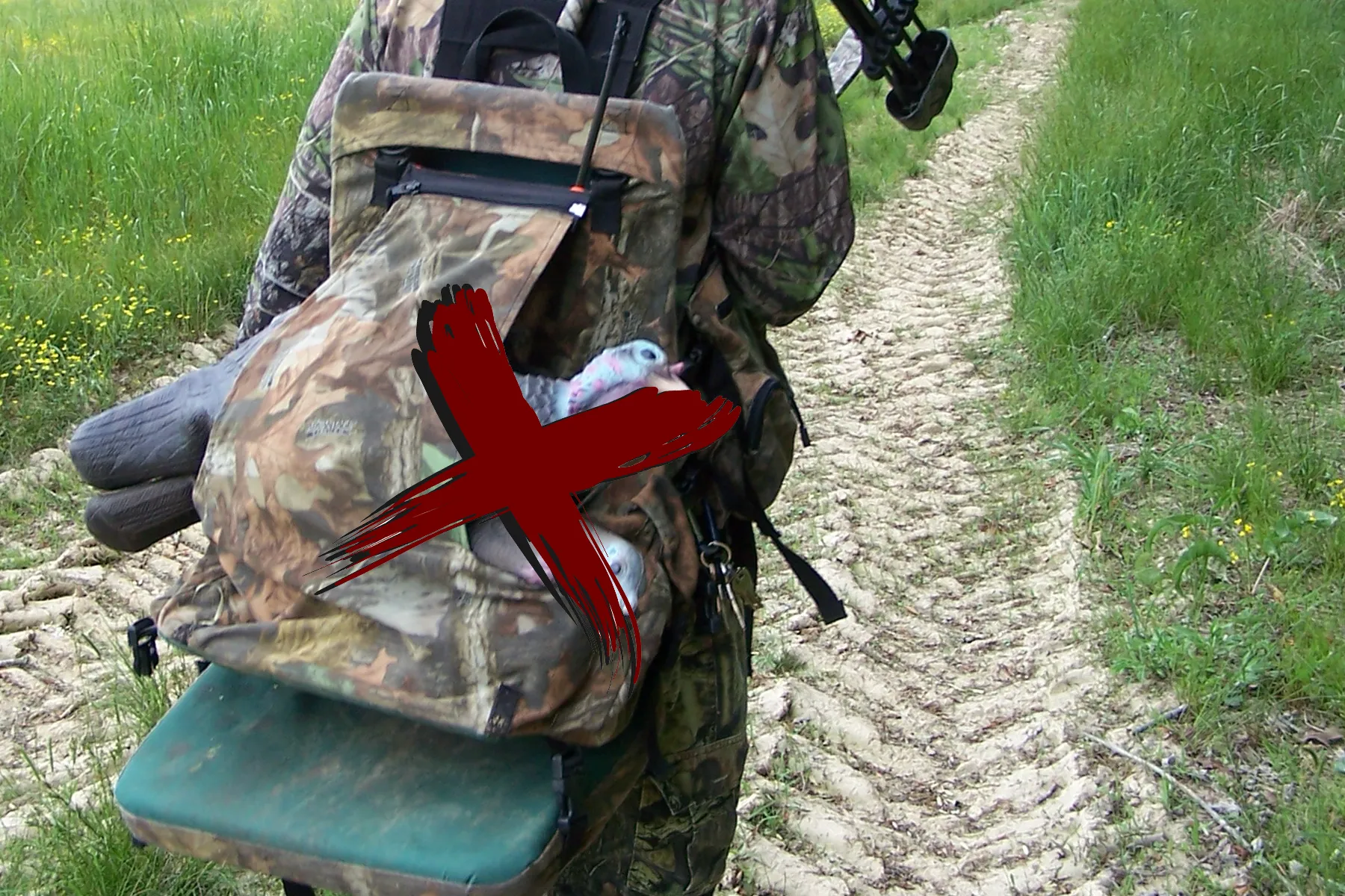 turkey decoys