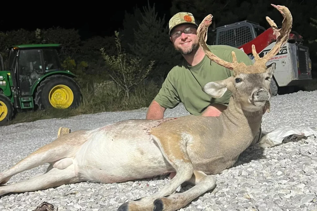 Piebald buck