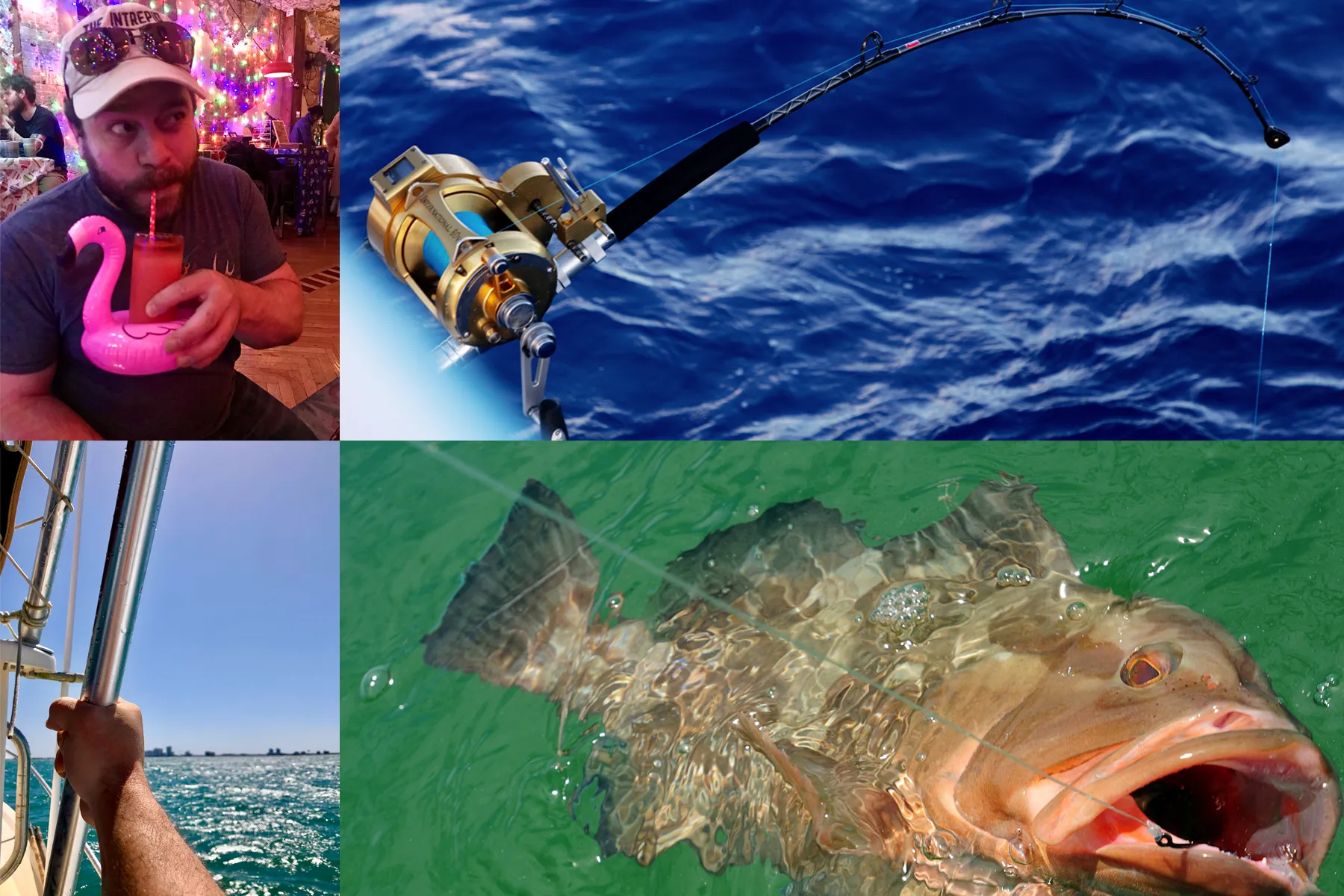 bahamian grouper