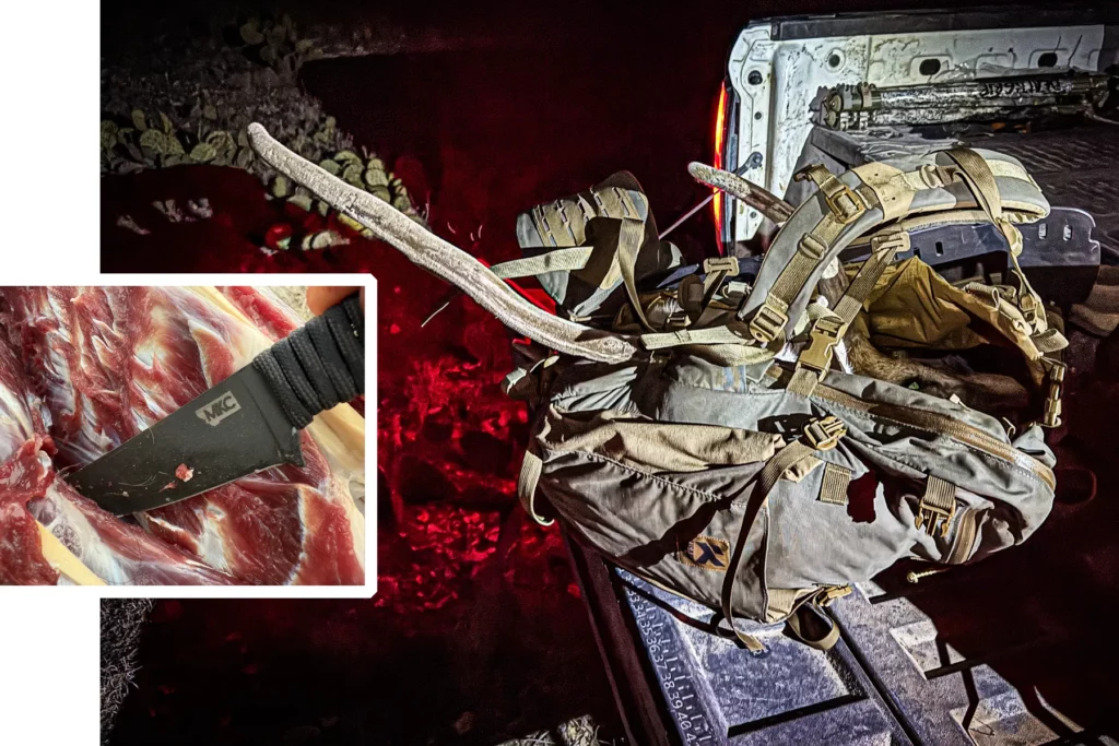 axis deer hunt in texas with barnes harvest collection rifle ammo
