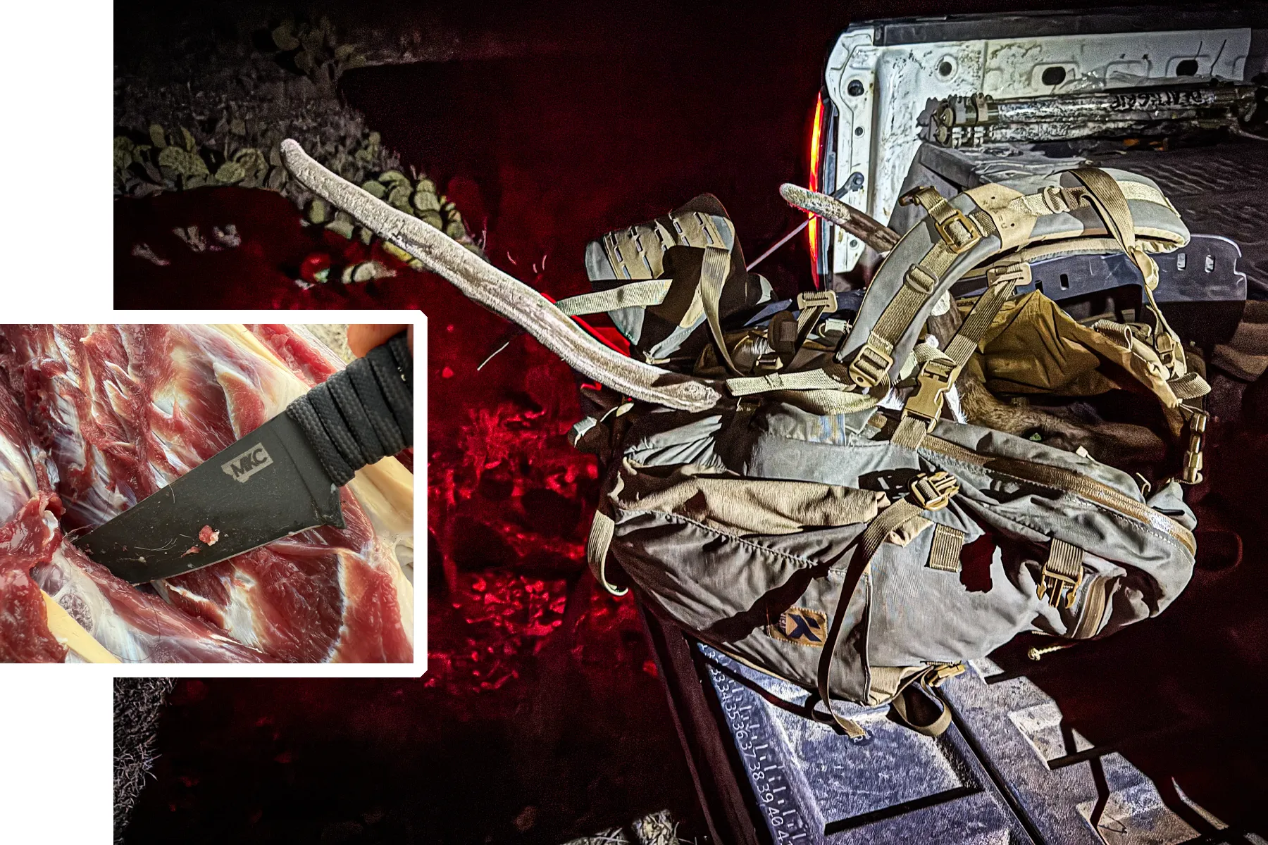 axis deer hunt in texas with barnes harvest collection rifle ammo
