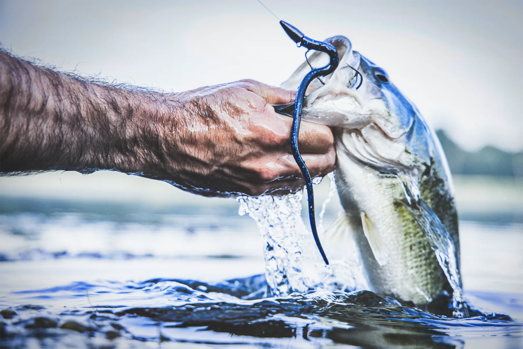 lake fork trophy lures bass fishing
