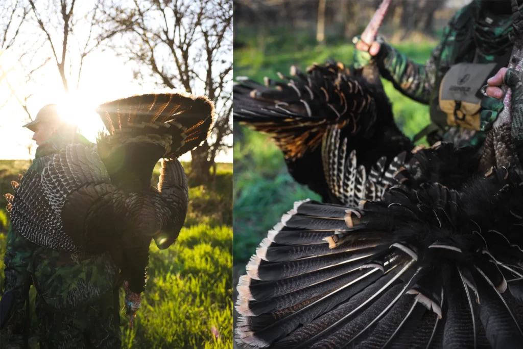 Justin Adams with downed wild turkey