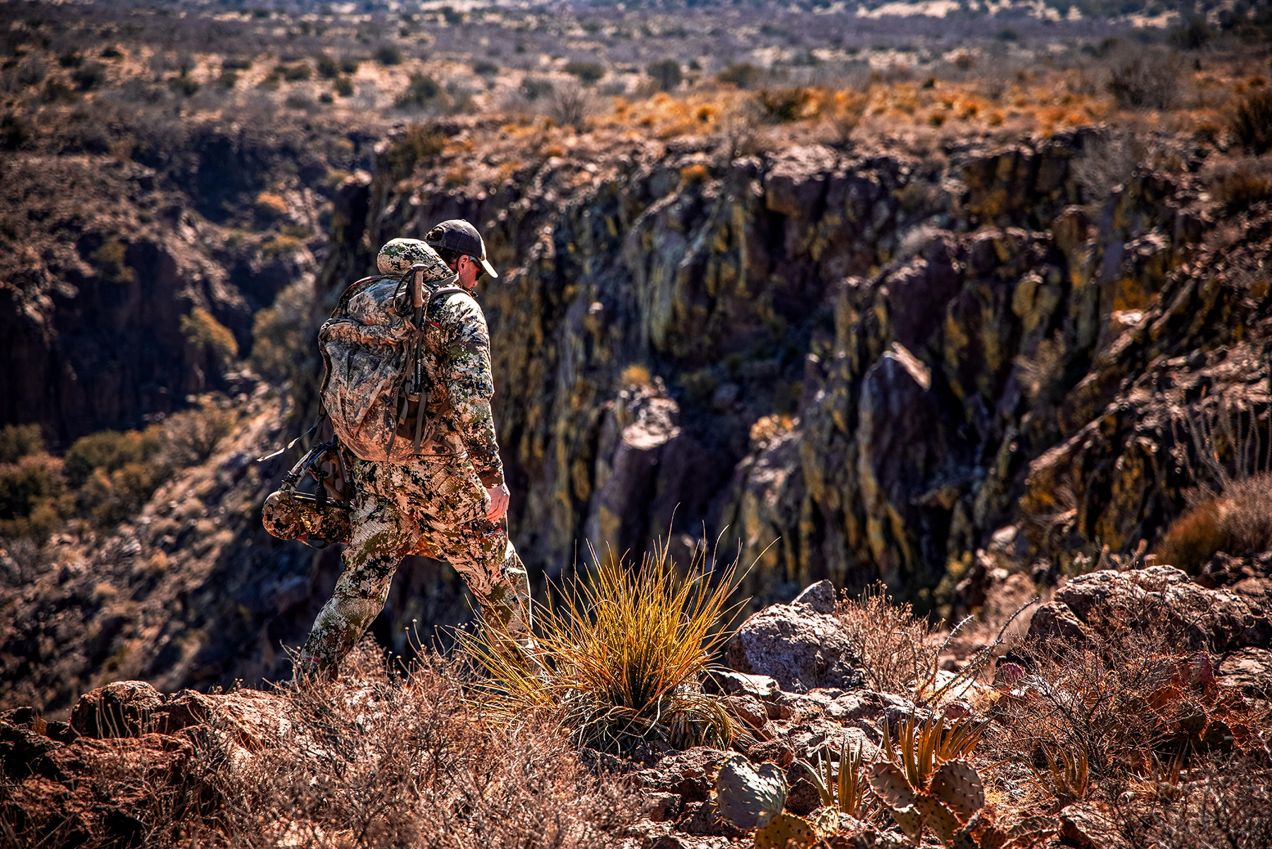 hiking in the high desert