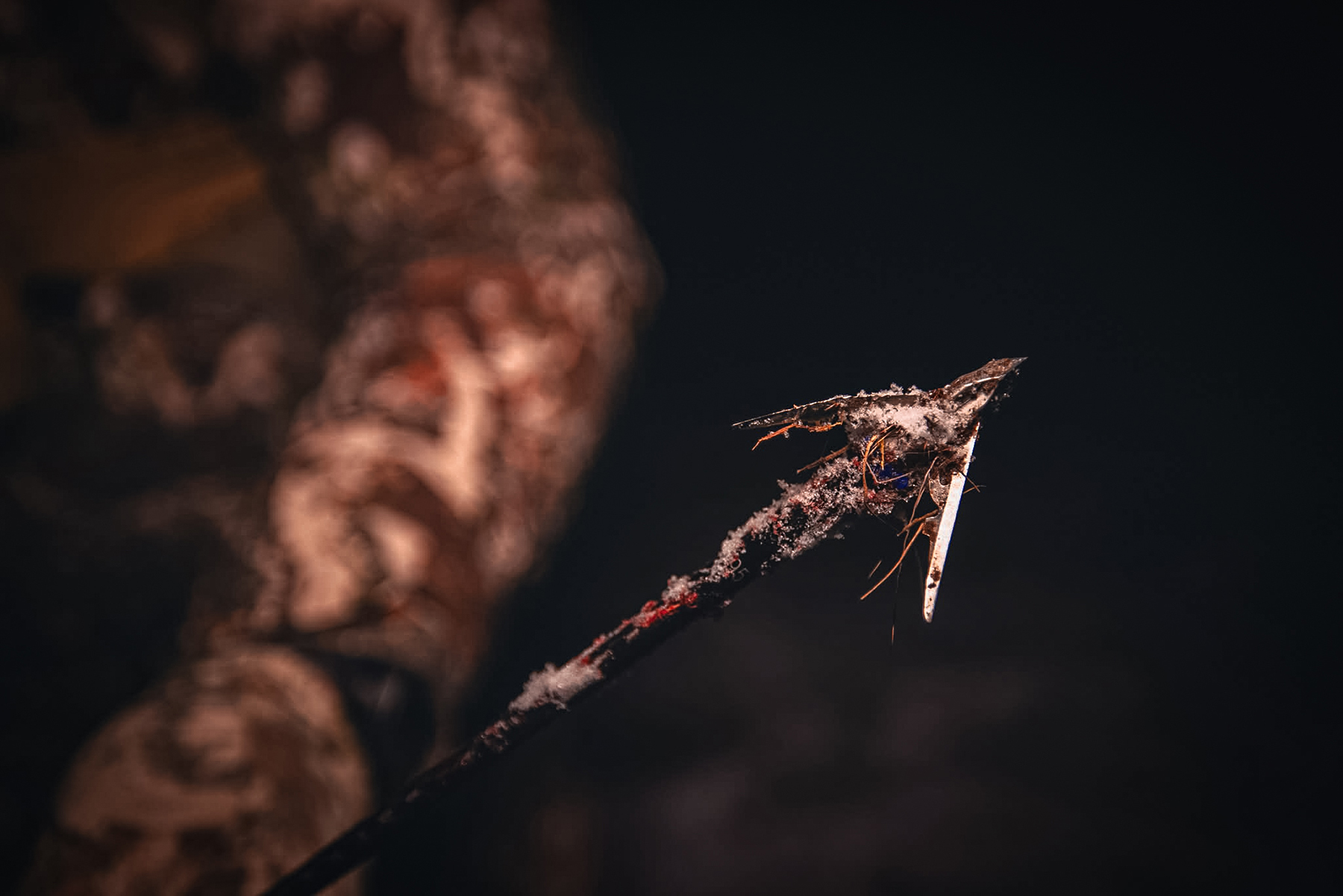 a broadhead covered in fur and dirt Bowtech