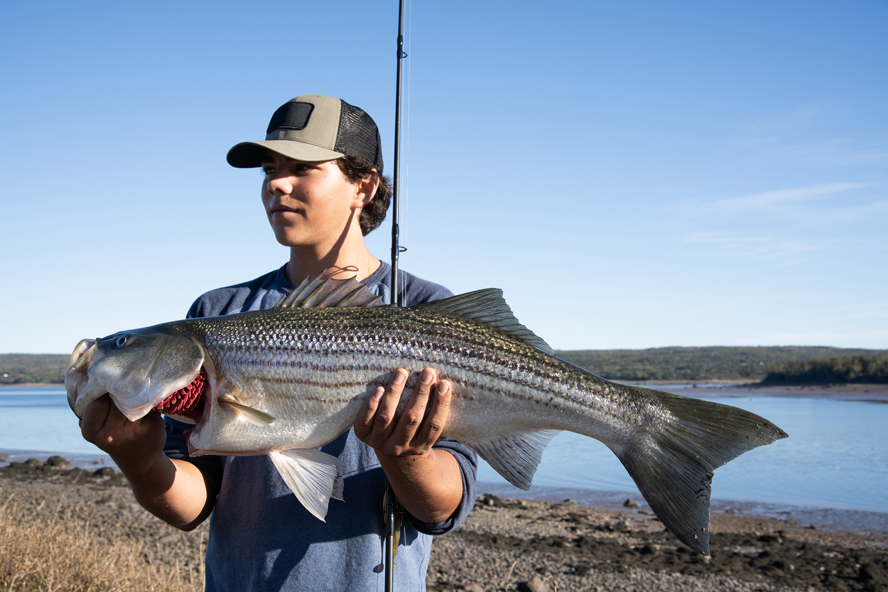 A teen fisherman holding a large Striped Bass in Nova Scotia, Canada