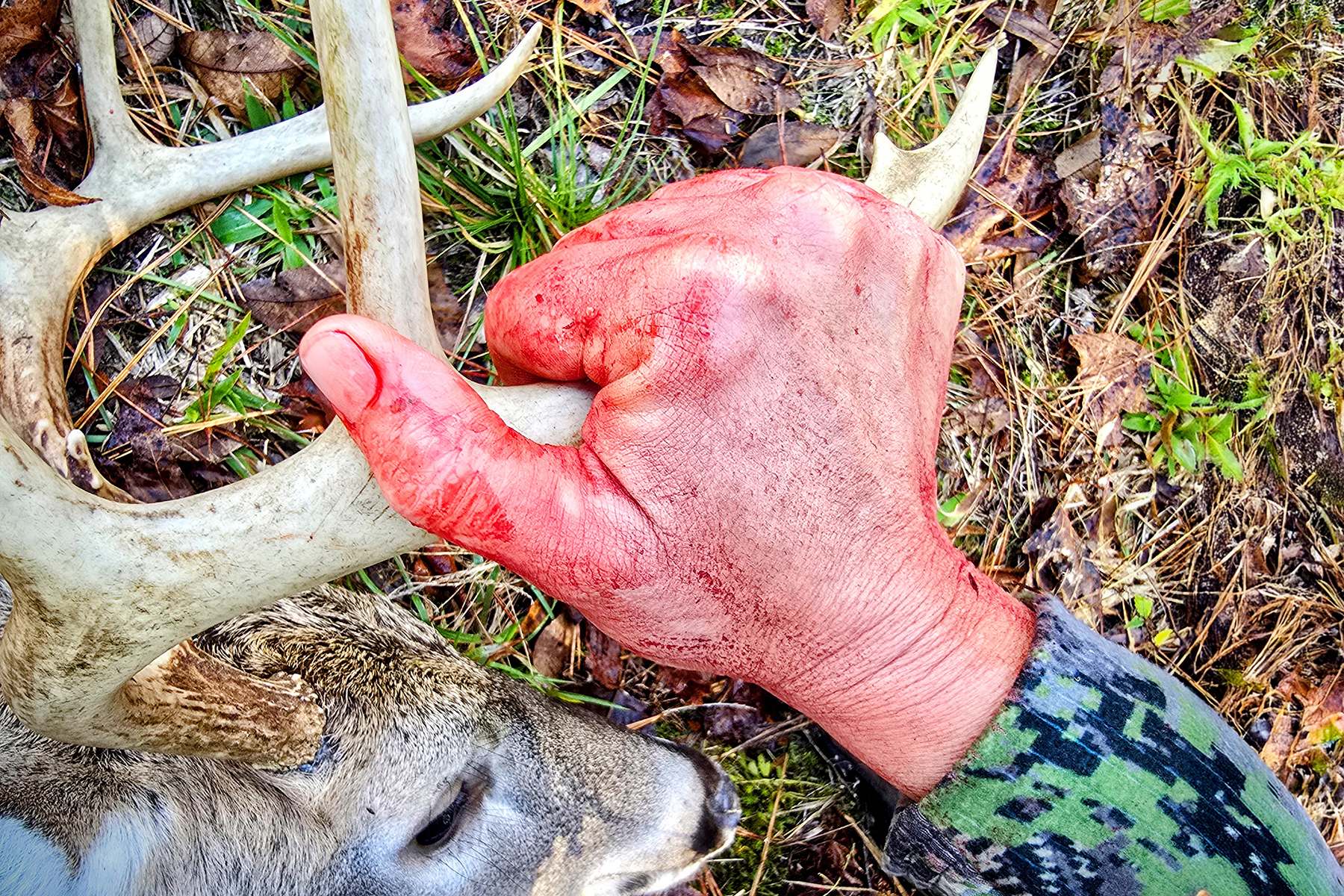 How To Overcome 5 Early-Season Whitetail Hunting Mistakes