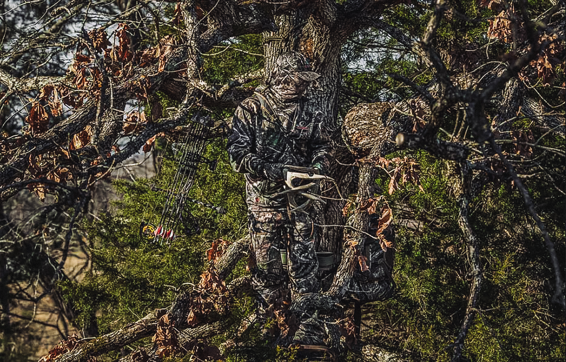 mossy oak bowhunter in tree rattling antlers