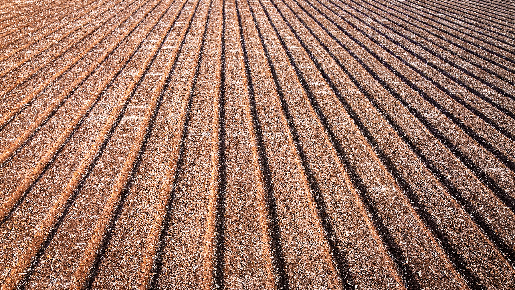turn rows in a field