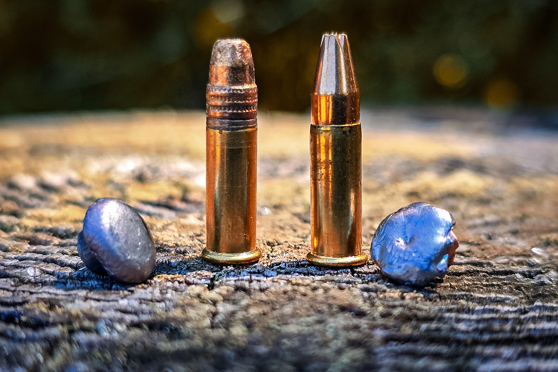 Winchester 21 Sharp vs. .22 LR
