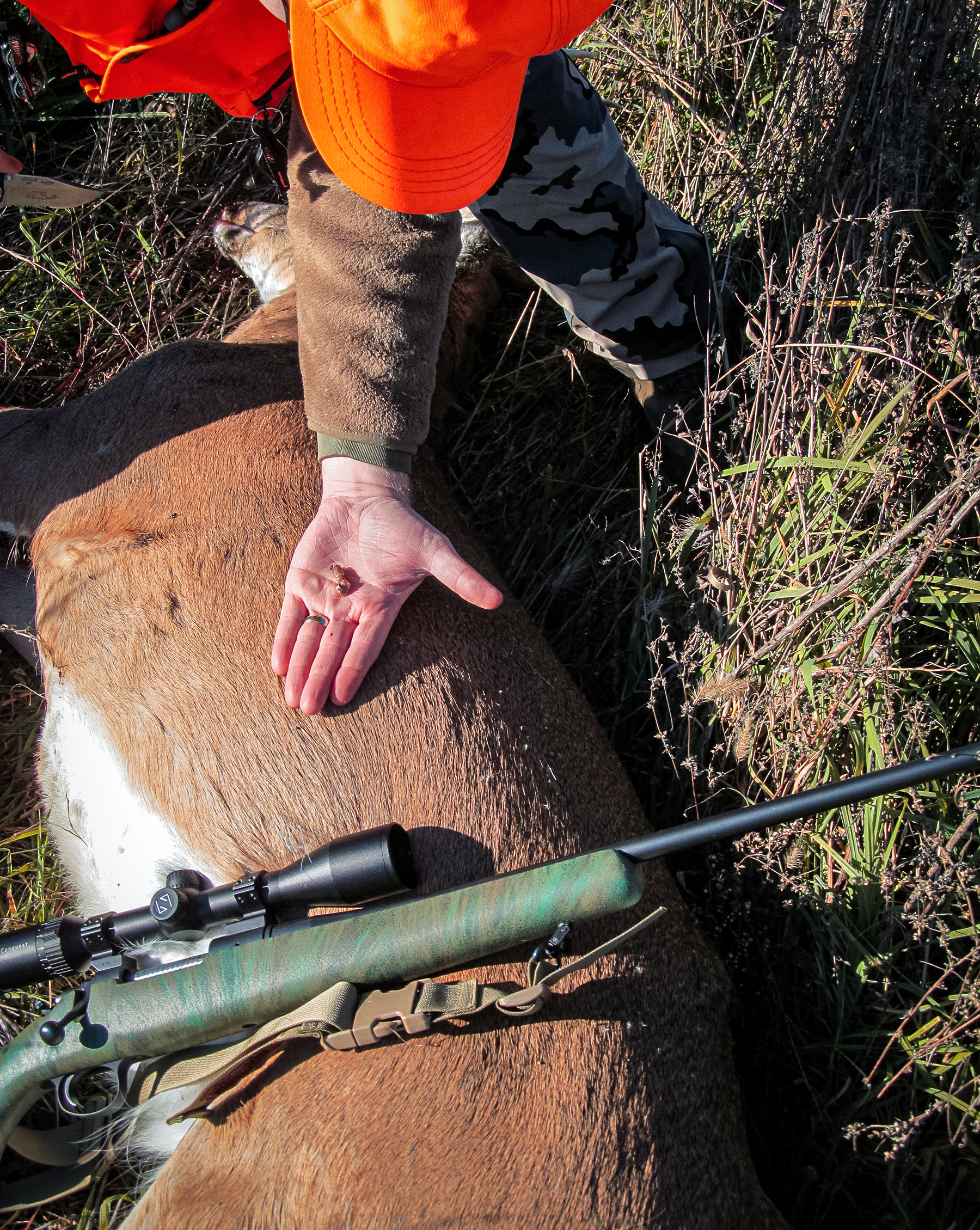 Barnes Harvest hunting ammunition and a nice bucka nd rifle