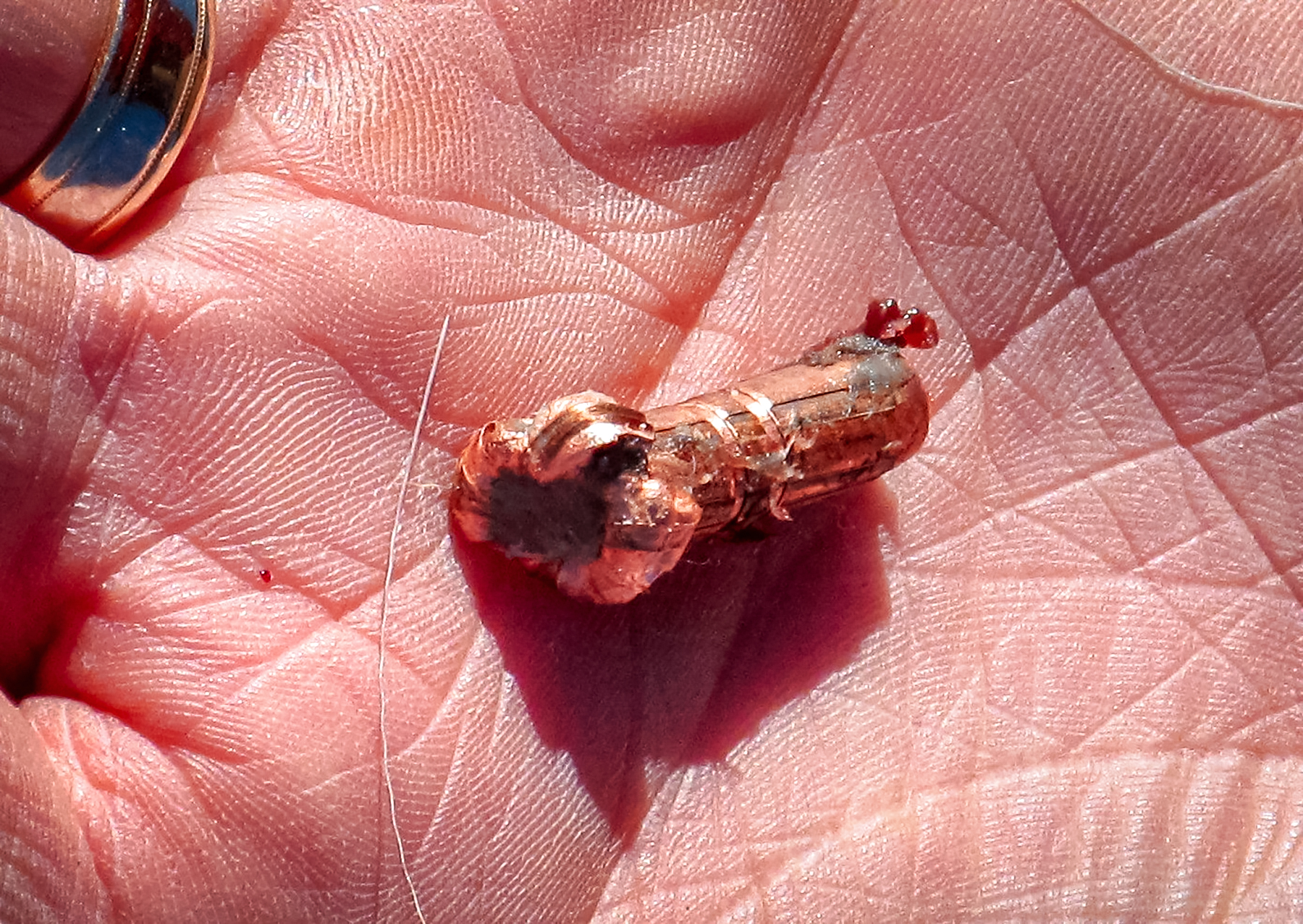 Barnes Harvest hunting ammunition - recovered mushroomed bullet