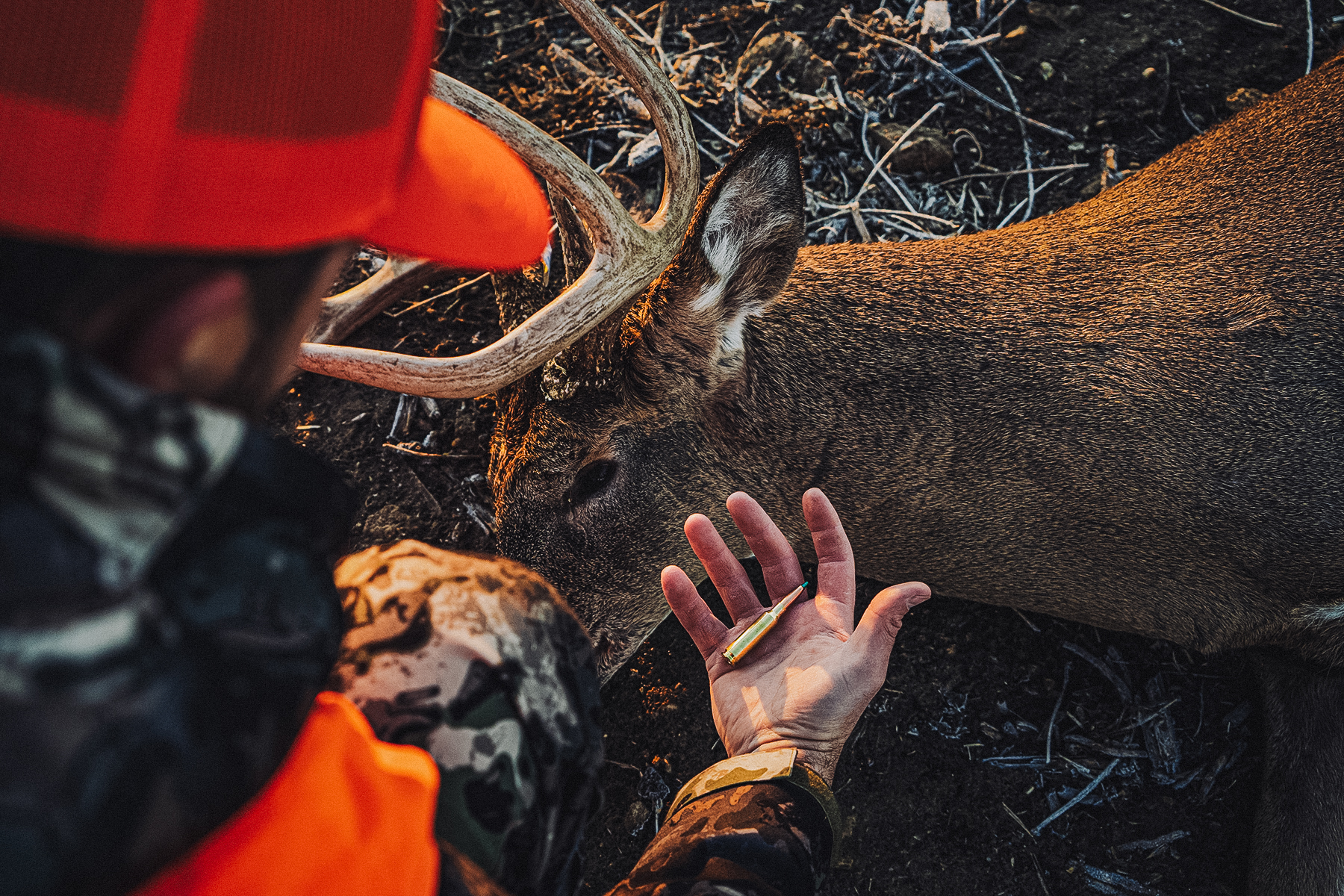 Barnes Harvest hunting ammunition with a dead buck