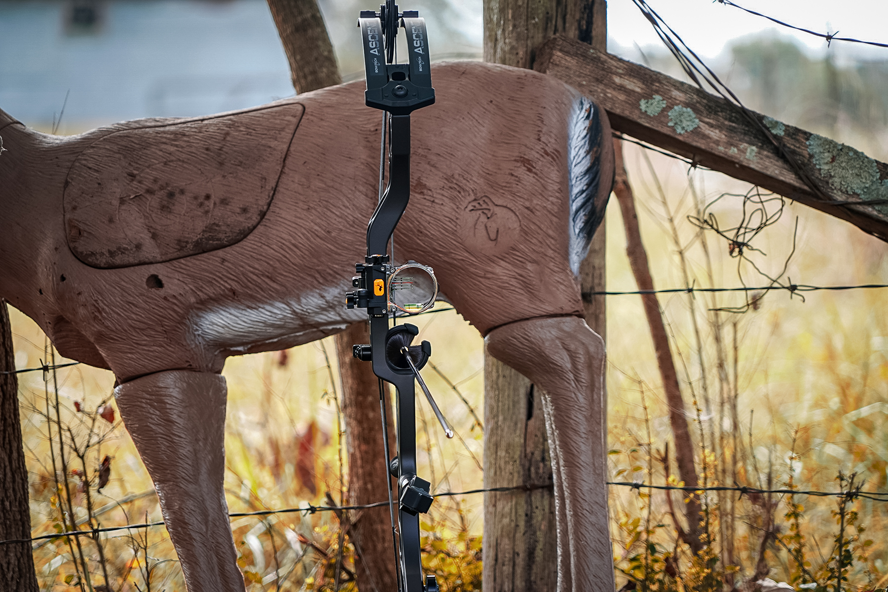 Bowtech Ascend with 3D target