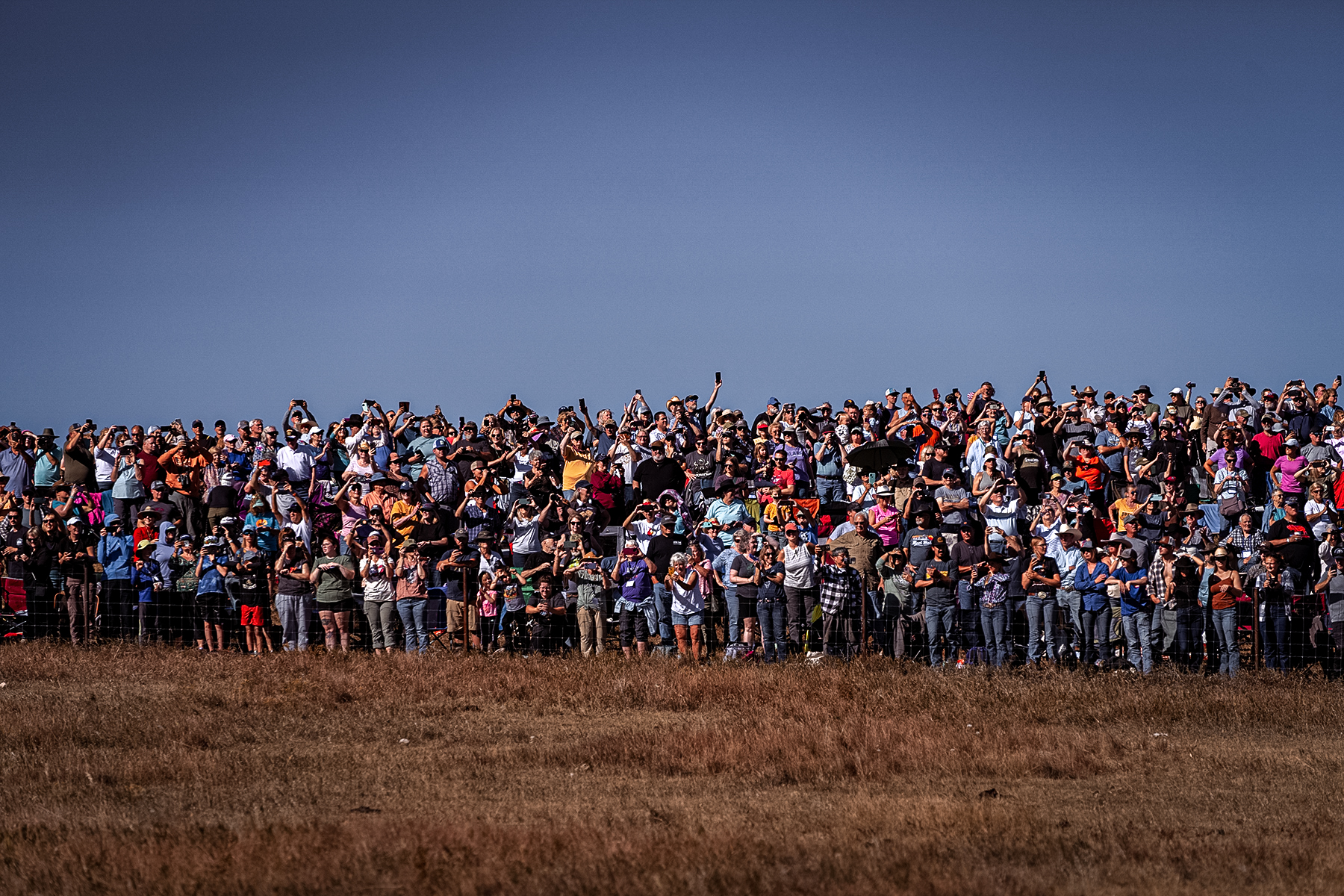 South Dakota Buffalo Roundup