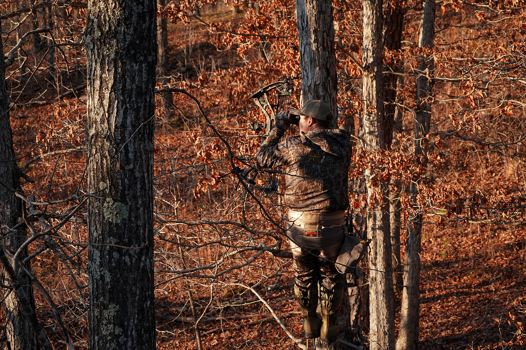 a bowhunter glassing