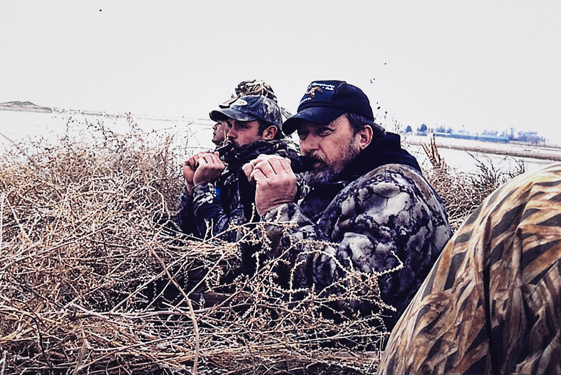 calling in the blind