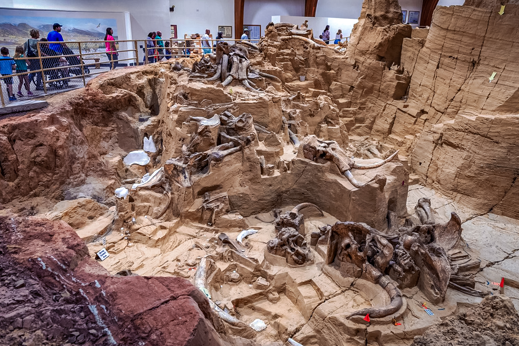 Mammoth Site in South Dakota