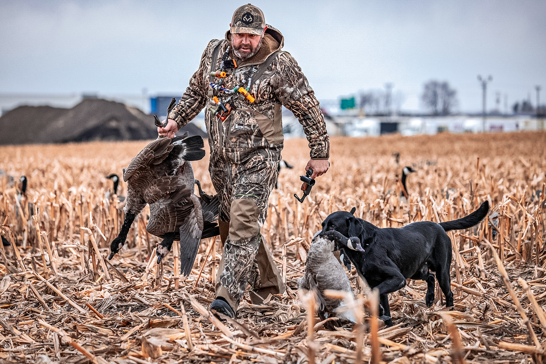 chad belding and his dog axl retrieving some geese
