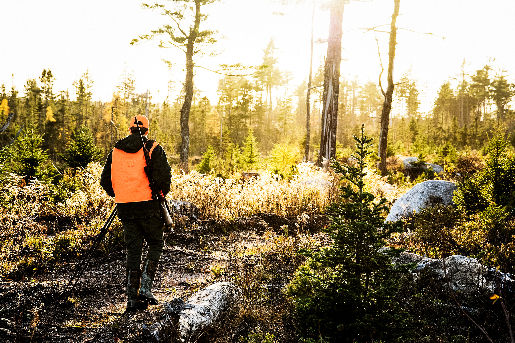 how to hunt quietly and move like a deer