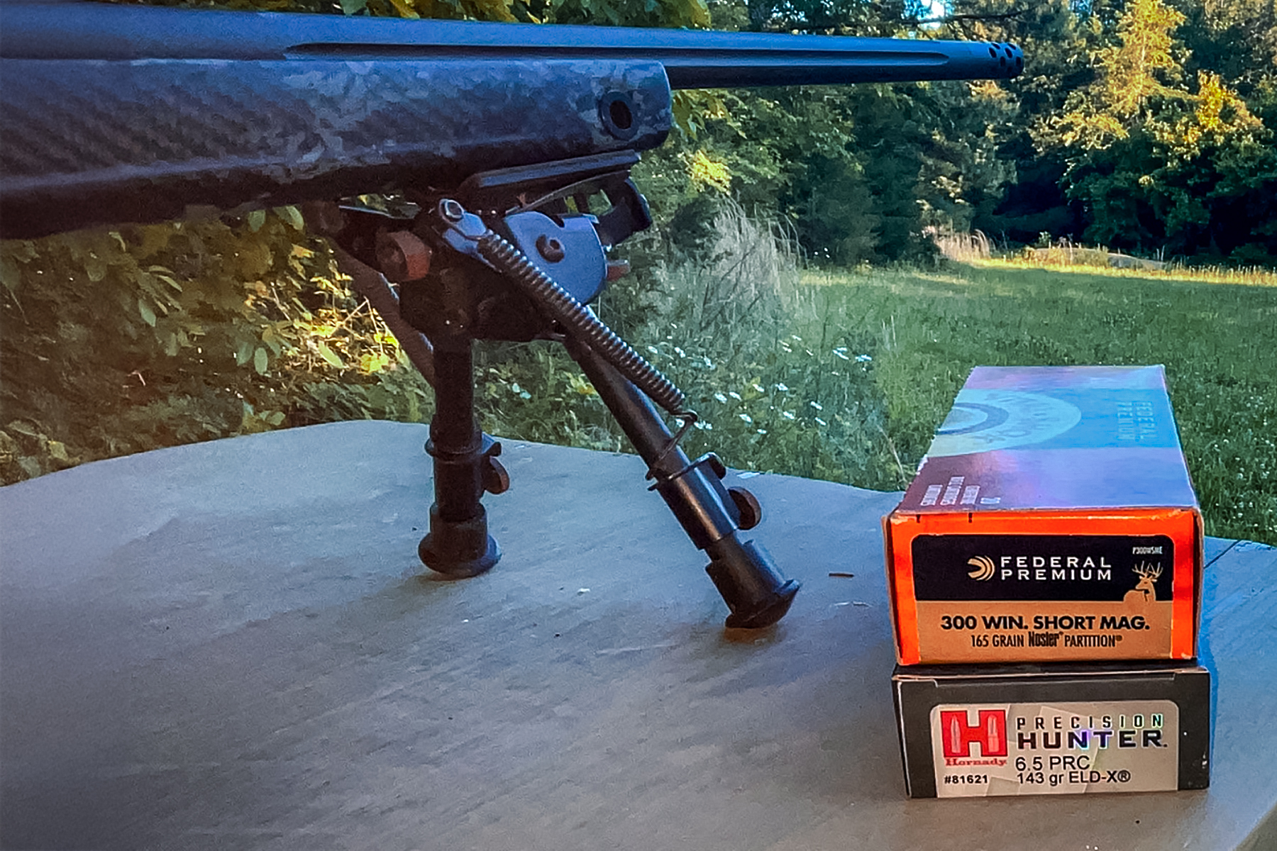 Federal .300 WSM ammo and Hornady Precision Hunter 6.5 PRC ammo with rifle on bipod
