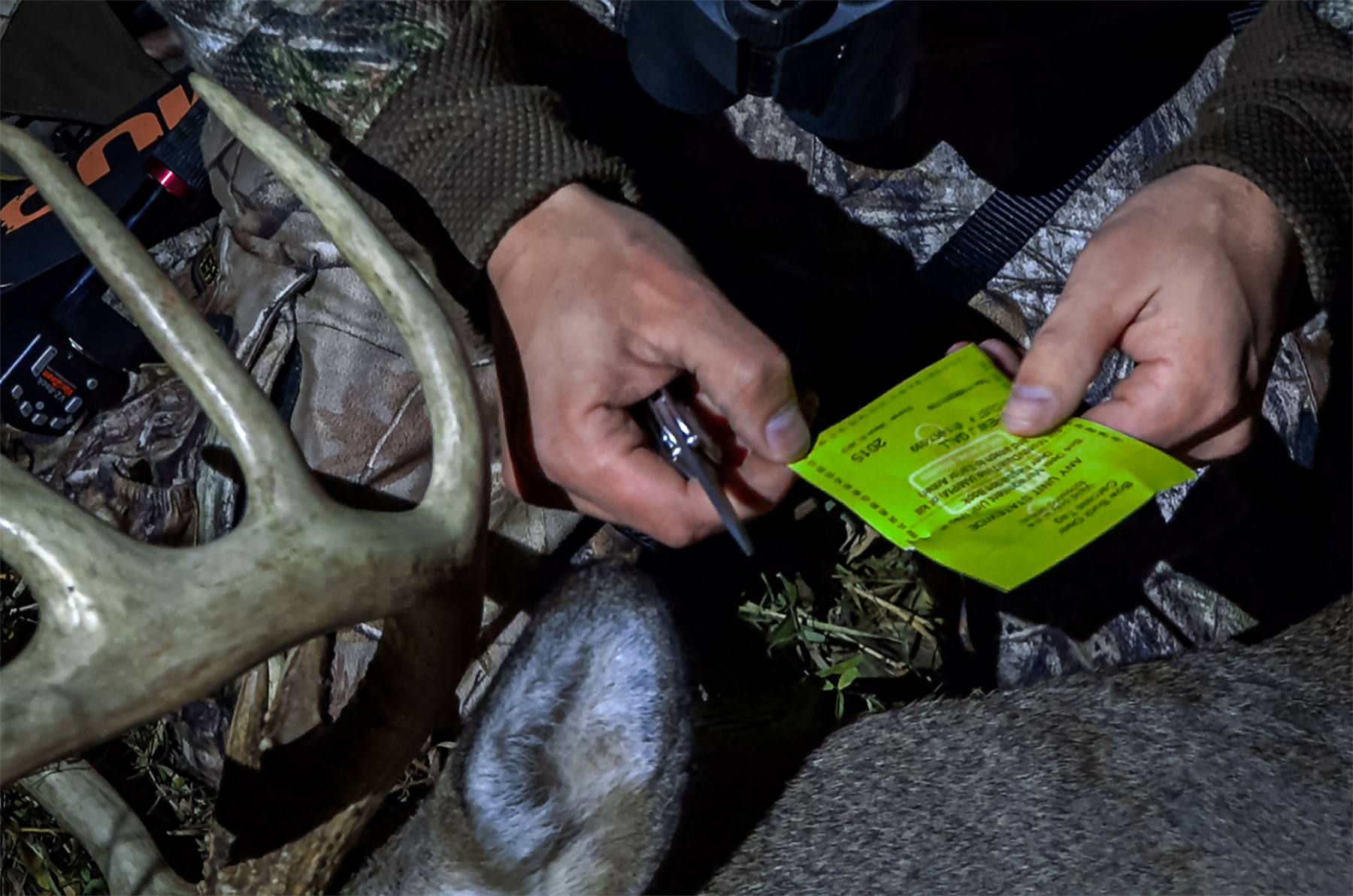 hunter punching a deer tag