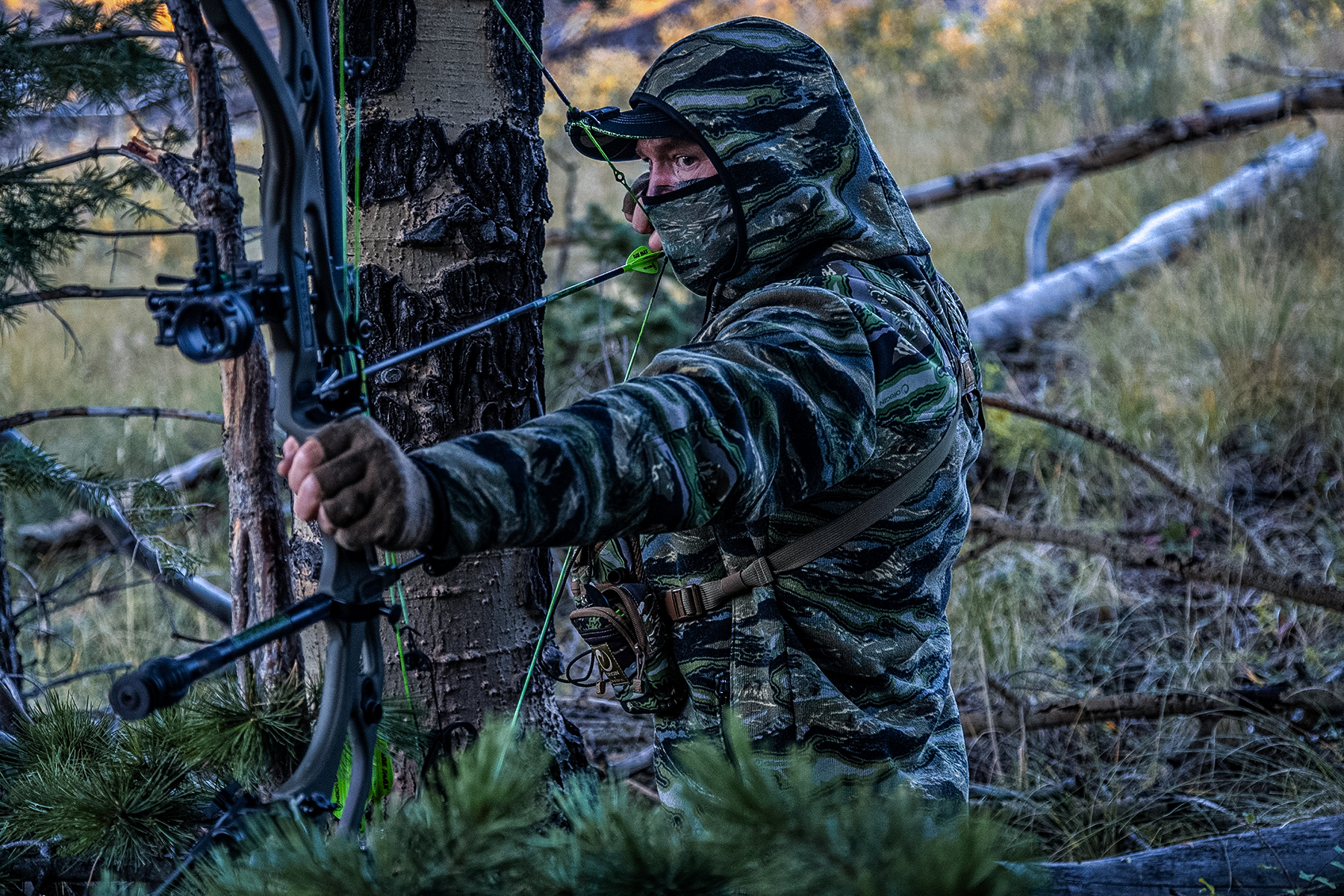 a bowhunter at full draw
