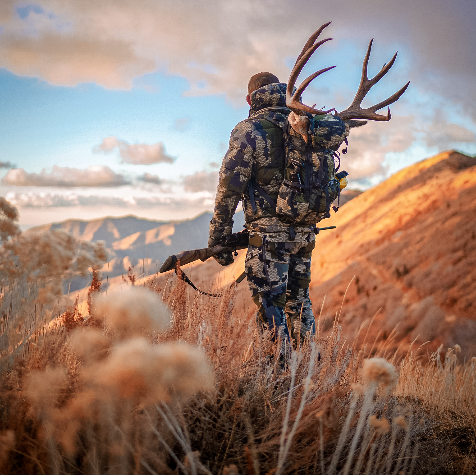 Chad Mendes packing out a muley
