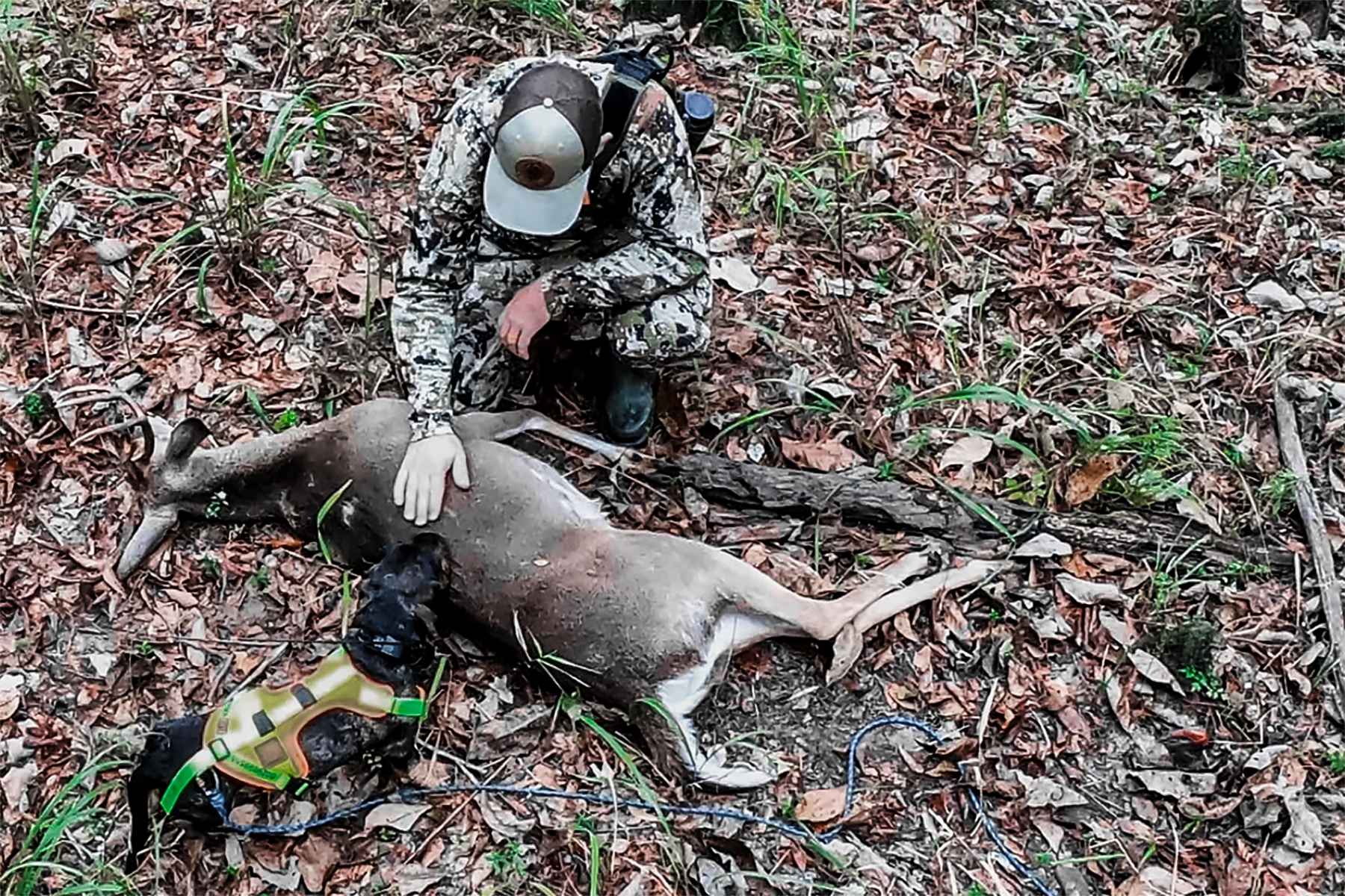 jaeger the deer tracking dog with a downed buck and hunter