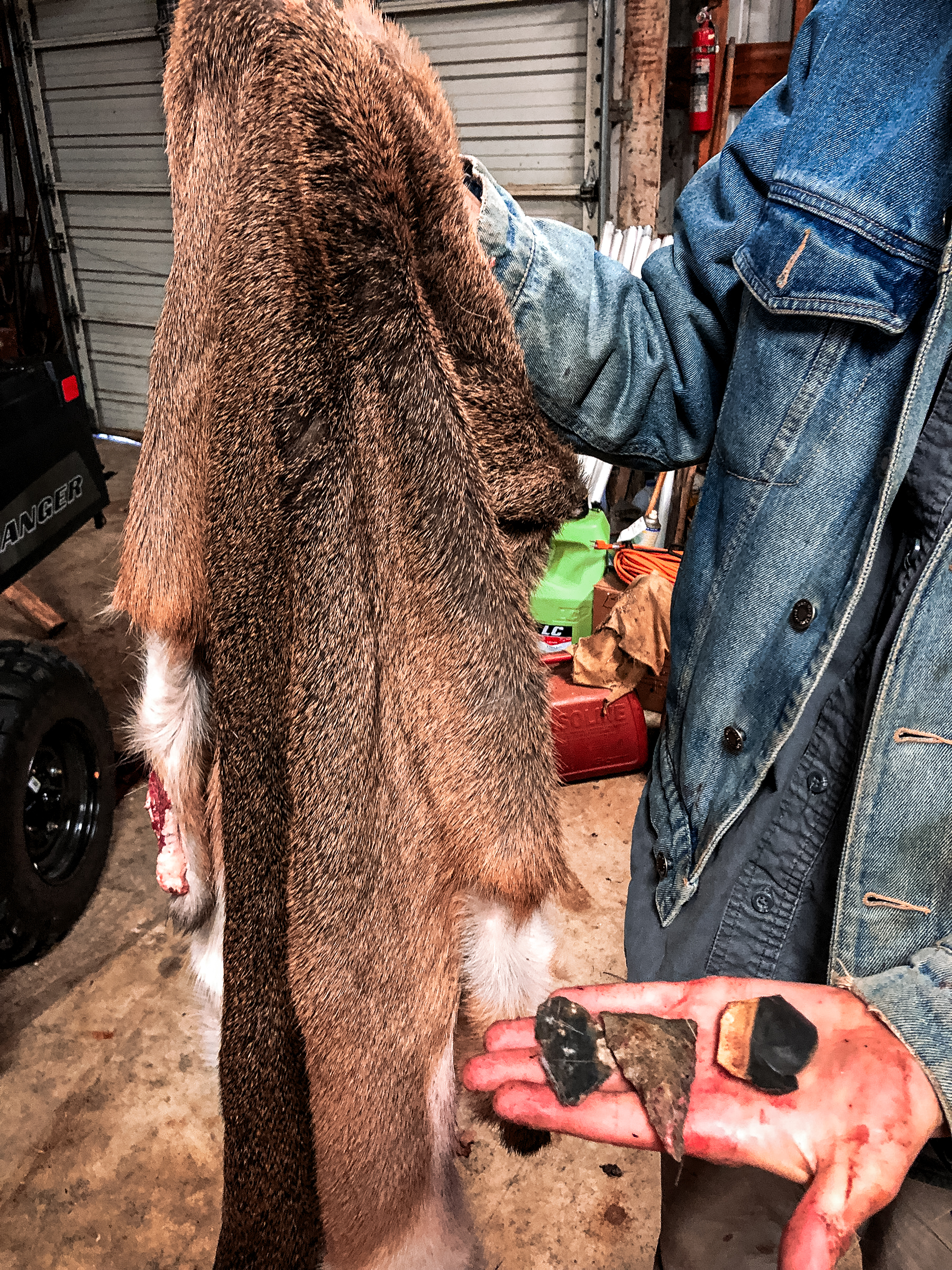 a man holding a deer hide and stone skinning tools