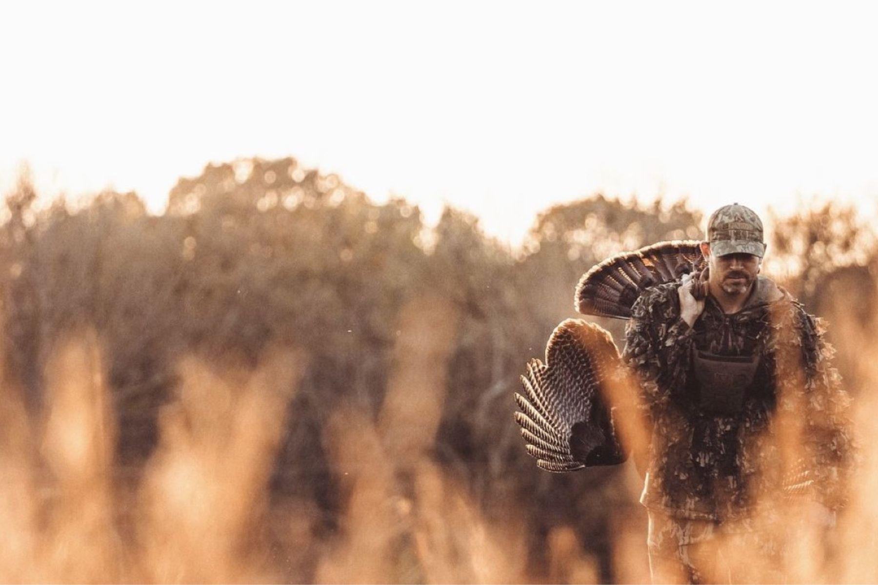 A turkey hunter walks through tall grass with a gobbler over his shoulder.