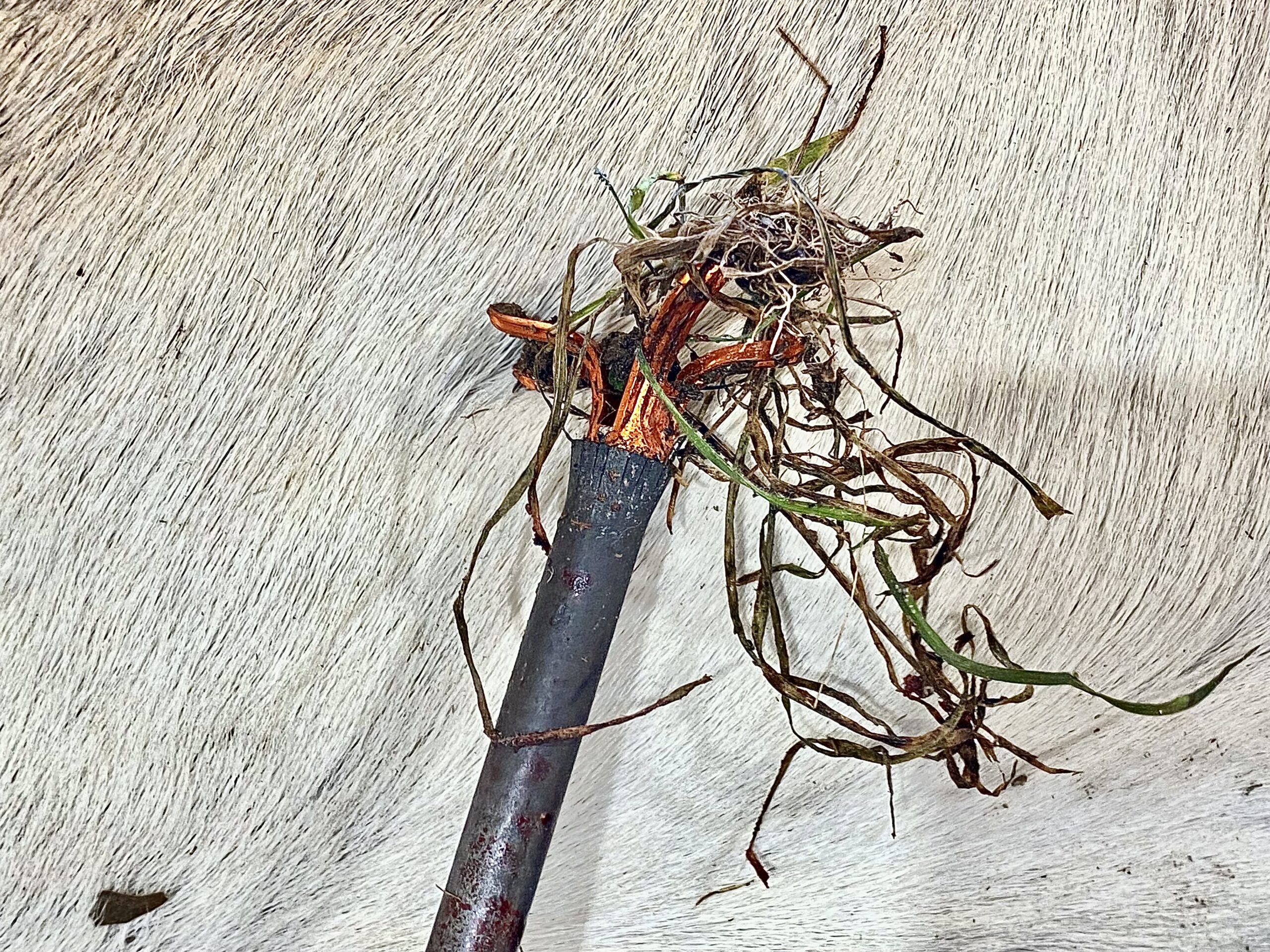 Ravin arrow after tussling with the steel feeder leg.