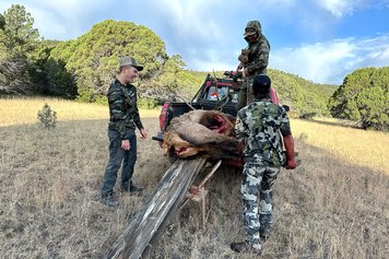 Into the Wild: Jet Jurgensmeyer’s  First Elk Hunt