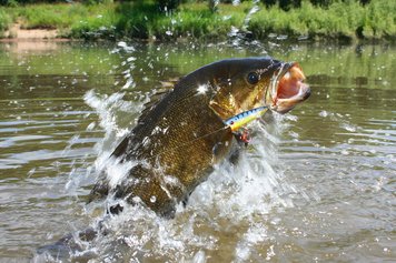 13 Must-Haves In Your Bug Out Fishing Box