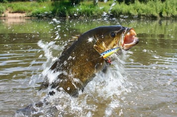 13 Must-Haves In Your Bug Out Fishing Box