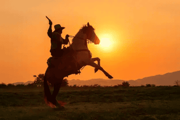 Five Iconic Wild West Guns