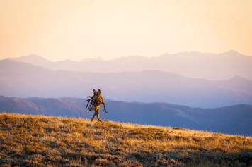 “Journey Of A Thousand Choices” Tells Different Kind Of Hunting Story