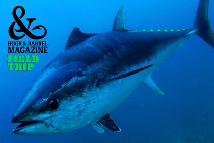 Field Trip: Tuna Fishing in Cape Cod