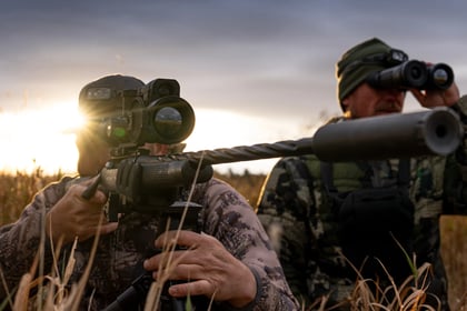 New Ammo, Elk Harvest Results, Grizzly Bear News & More 