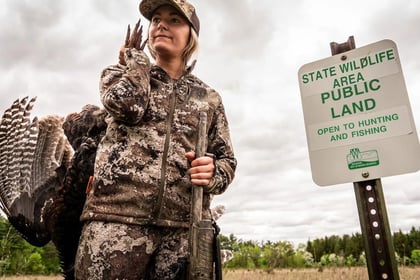 Trump Slump Tightening Your Budget? Hunt Public Land Turkeys