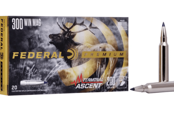 Rifle Ammo