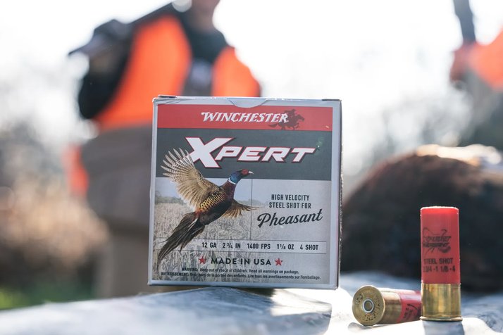 Shotshell Ammo