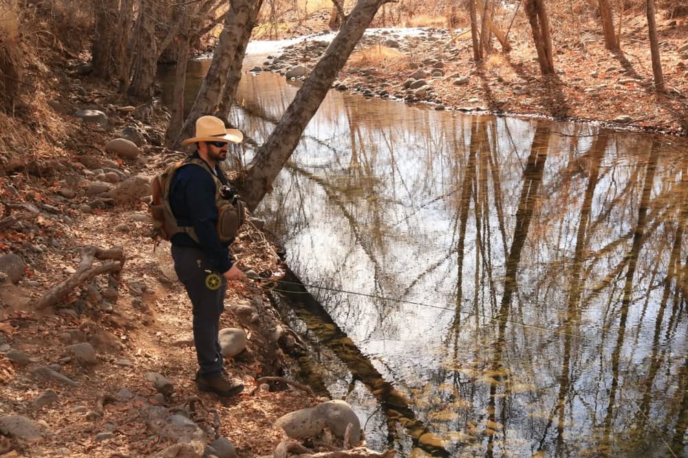 Hunting for Mental Health Solutions