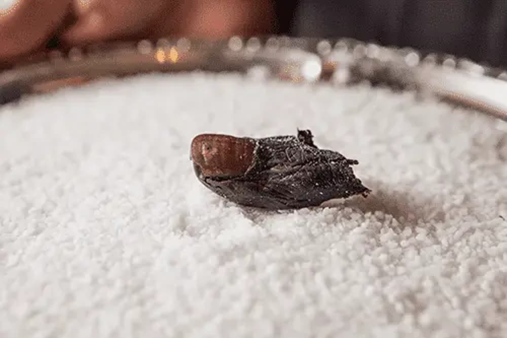 Discover the Story of Sourtoe Cocktail