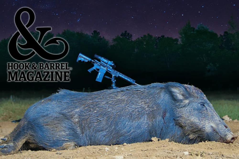 Best 300 Blackout Ammo for Hog Hunting